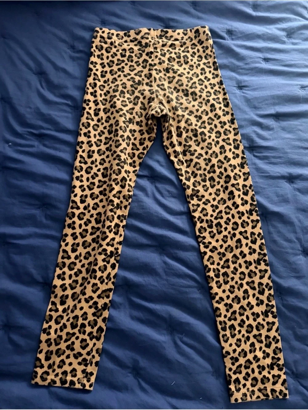 Size 10/12 (Girls) Clothing Mix Bundle